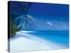 Tropical Beach I-Paul Brown-Stretched Canvas