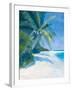 Tropical Beach II-Paul Brown-Framed Giclee Print