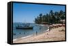 Tropical Beach in Praia Do Forte, Bahia, Brazil, South America-Michael Runkel-Framed Stretched Canvas