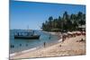 Tropical Beach in Praia Do Forte, Bahia, Brazil, South America-Michael Runkel-Mounted Photographic Print