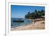 Tropical Beach in Praia Do Forte, Bahia, Brazil, South America-Michael Runkel-Framed Photographic Print