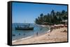 Tropical Beach in Praia Do Forte, Bahia, Brazil, South America-Michael Runkel-Framed Stretched Canvas