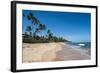 Tropical Beach in Praia Do Forte, Bahia, Brazil, South America-Michael Runkel-Framed Photographic Print