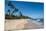 Tropical Beach in Praia Do Forte, Bahia, Brazil, South America-Michael Runkel-Mounted Photographic Print
