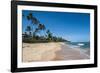 Tropical Beach in Praia Do Forte, Bahia, Brazil, South America-Michael Runkel-Framed Photographic Print