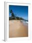 Tropical Beach in Praia Do Forte, Bahia, Brazil, South America-Michael Runkel-Framed Photographic Print