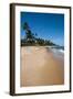 Tropical Beach in Praia Do Forte, Bahia, Brazil, South America-Michael Runkel-Framed Photographic Print