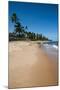 Tropical Beach in Praia Do Forte, Bahia, Brazil, South America-Michael Runkel-Mounted Photographic Print