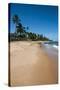 Tropical Beach in Praia Do Forte, Bahia, Brazil, South America-Michael Runkel-Stretched Canvas