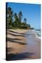 Tropical Beach in Praia Do Forte, Bahia, Brazil, South America-Michael Runkel-Stretched Canvas