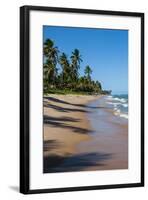 Tropical Beach in Praia Do Forte, Bahia, Brazil, South America-Michael Runkel-Framed Photographic Print