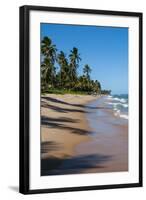 Tropical Beach in Praia Do Forte, Bahia, Brazil, South America-Michael Runkel-Framed Photographic Print