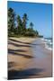 Tropical Beach in Praia Do Forte, Bahia, Brazil, South America-Michael Runkel-Mounted Photographic Print