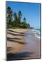 Tropical Beach in Praia Do Forte, Bahia, Brazil, South America-Michael Runkel-Mounted Photographic Print