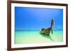 Tropical Beach, Koh Pai in Krabi Thailand-Pongphan Ruengchai-Framed Photographic Print