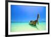 Tropical Beach, Koh Pai in Krabi Thailand-Pongphan Ruengchai-Framed Photographic Print