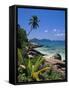 Tropical Beach, La Digue Island, Seychelles-Angelo Cavalli-Framed Stretched Canvas