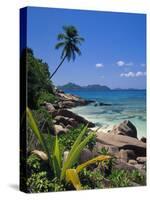 Tropical Beach, La Digue Island, Seychelles-Angelo Cavalli-Stretched Canvas