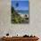 Tropical Beach, La Digue Island, Seychelles-Angelo Cavalli-Premium Photographic Print displayed on a wall