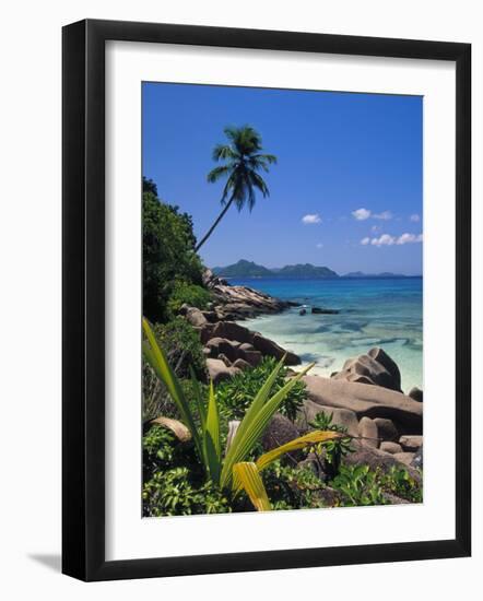 Tropical Beach, La Digue Island, Seychelles-Angelo Cavalli-Framed Photographic Print