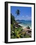 Tropical Beach, La Digue Island, Seychelles-Angelo Cavalli-Framed Photographic Print