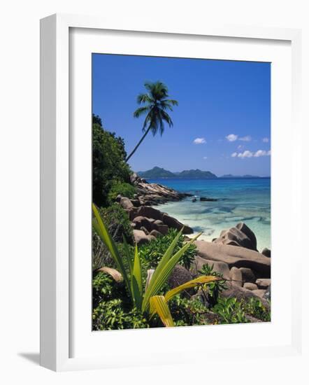 Tropical Beach, La Digue Island, Seychelles-Angelo Cavalli-Framed Photographic Print