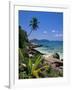 Tropical Beach, La Digue Island, Seychelles-Angelo Cavalli-Framed Photographic Print