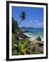 Tropical Beach, La Digue Island, Seychelles-Angelo Cavalli-Framed Photographic Print