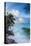 Tropical Beach, La Digue, Seychelles-Jon Arnold-Stretched Canvas