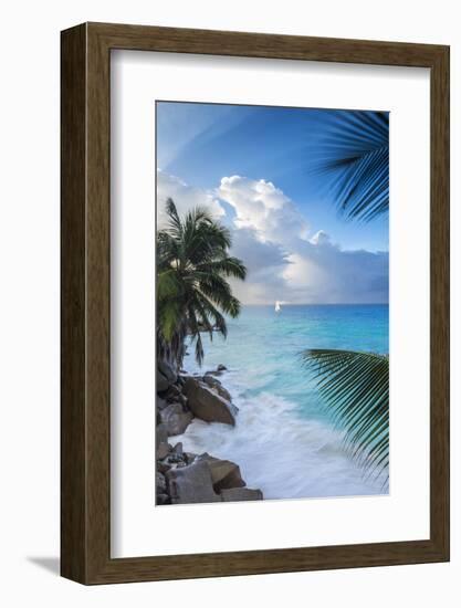 Tropical Beach, La Digue, Seychelles-Jon Arnold-Framed Photographic Print