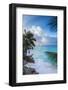 Tropical Beach, La Digue, Seychelles-Jon Arnold-Framed Photographic Print