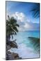 Tropical Beach, La Digue, Seychelles-Jon Arnold-Mounted Photographic Print