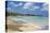 Tropical Beach, Las Terrenas, Dominican Republic-Massimo Borchi-Stretched Canvas