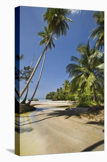 Tropical Beach, Las Terrenas, Dominican Republic-Massimo Borchi-Stretched Canvas