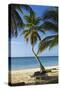 Tropical Beach, Las Terrenas, Samana Peninsula, Dominican Republic-Massimo Borchi-Stretched Canvas