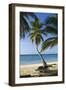 Tropical Beach, Las Terrenas, Samana Peninsula, Dominican Republic-Massimo Borchi-Framed Photographic Print