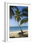 Tropical Beach, Las Terrenas, Samana Peninsula, Dominican Republic-Massimo Borchi-Framed Photographic Print