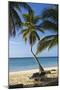 Tropical Beach, Las Terrenas, Samana Peninsula, Dominican Republic-Massimo Borchi-Mounted Photographic Print