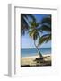 Tropical Beach, Las Terrenas, Samana Peninsula, Dominican Republic-Massimo Borchi-Framed Photographic Print