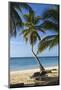 Tropical Beach, Las Terrenas, Samana Peninsula, Dominican Republic-Massimo Borchi-Mounted Photographic Print