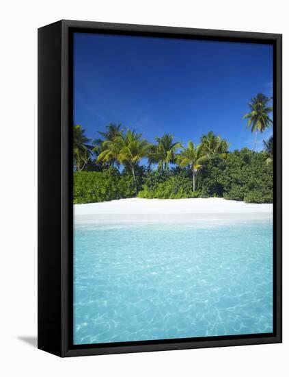 Tropical Beach, Maldives, Indian Ocean, Asia-Sakis Papadopoulos-Framed Stretched Canvas