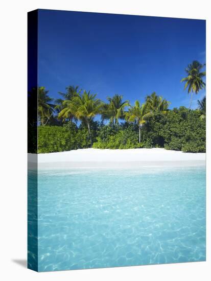 Tropical Beach, Maldives, Indian Ocean, Asia-Sakis Papadopoulos-Stretched Canvas