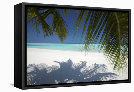 Tropical Beach, Maldives, Indian Ocean, Asia-Sakis Papadopoulos-Framed Stretched Canvas