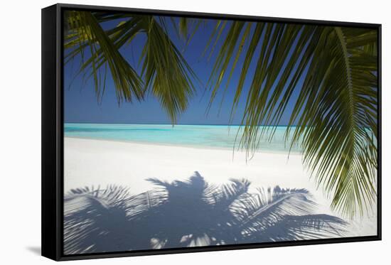 Tropical Beach, Maldives, Indian Ocean, Asia-Sakis Papadopoulos-Framed Stretched Canvas