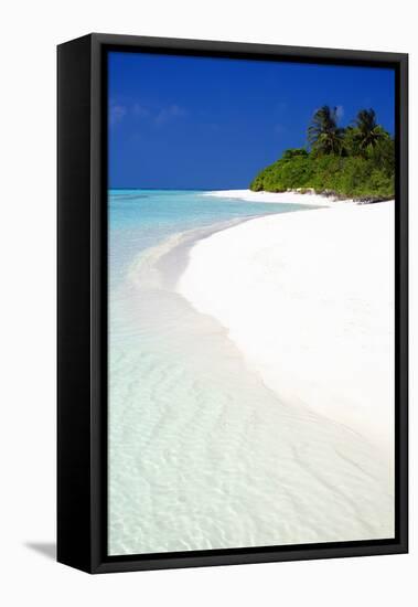 Tropical Beach, Maldives, Indian Ocean, Asia-Sakis-Framed Stretched Canvas