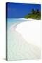 Tropical Beach, Maldives, Indian Ocean, Asia-Sakis-Stretched Canvas