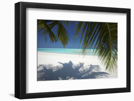 Tropical Beach, Maldives, Indian Ocean, Asia-Sakis Papadopoulos-Framed Photographic Print