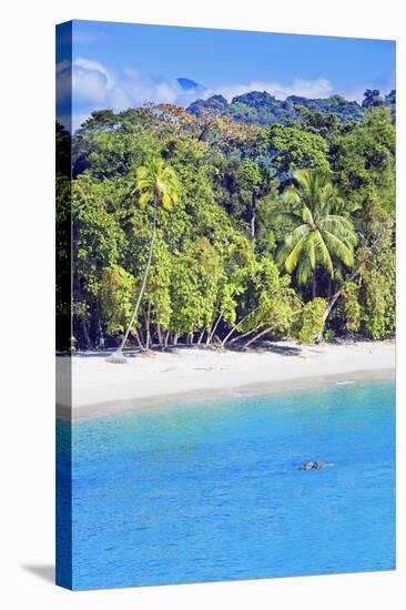 Tropical Beach, Manuel Antonio National Park, Costa Rica-Marco Simoni-Stretched Canvas