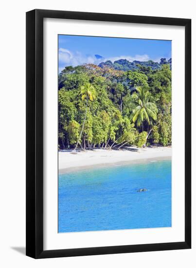 Tropical Beach, Manuel Antonio National Park, Costa Rica-Marco Simoni-Framed Premium Photographic Print