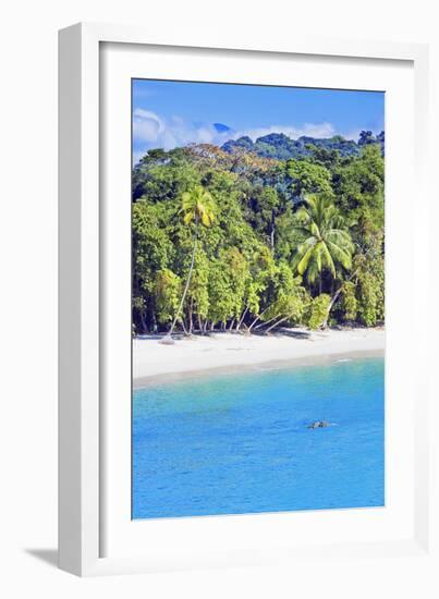 Tropical Beach, Manuel Antonio National Park, Costa Rica-Marco Simoni-Framed Photographic Print